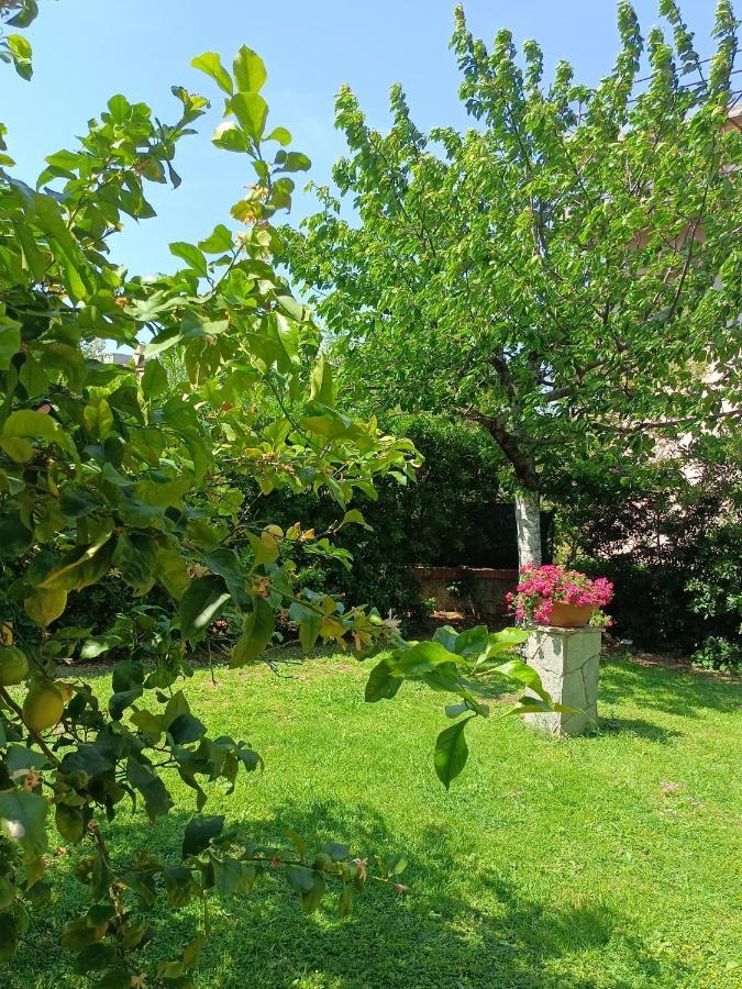 Il Giardino A Boccadasse